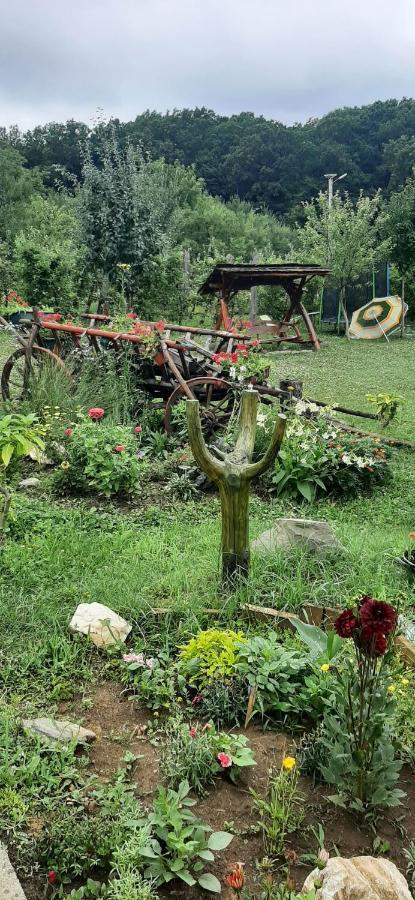 Panorama Cehu Silvaniei Ngoại thất bức ảnh