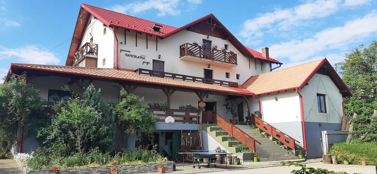 Panorama Cehu Silvaniei Ngoại thất bức ảnh