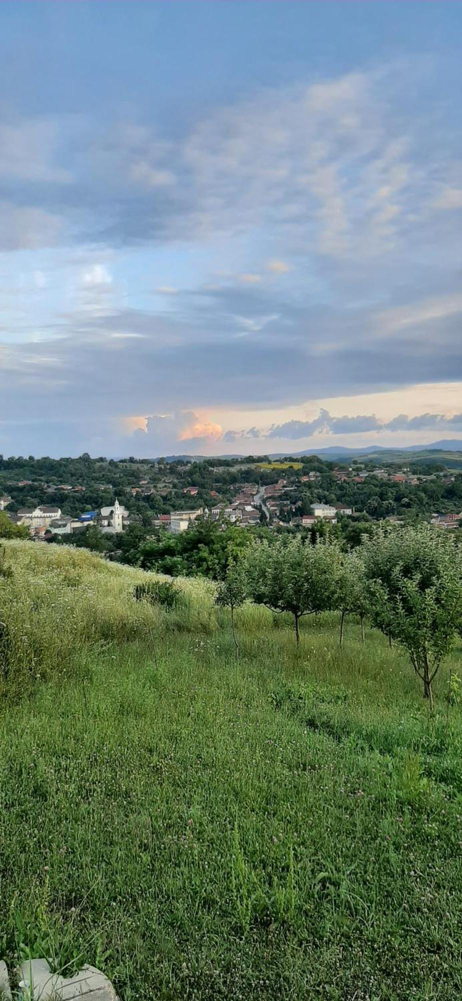 Panorama Cehu Silvaniei Phòng bức ảnh