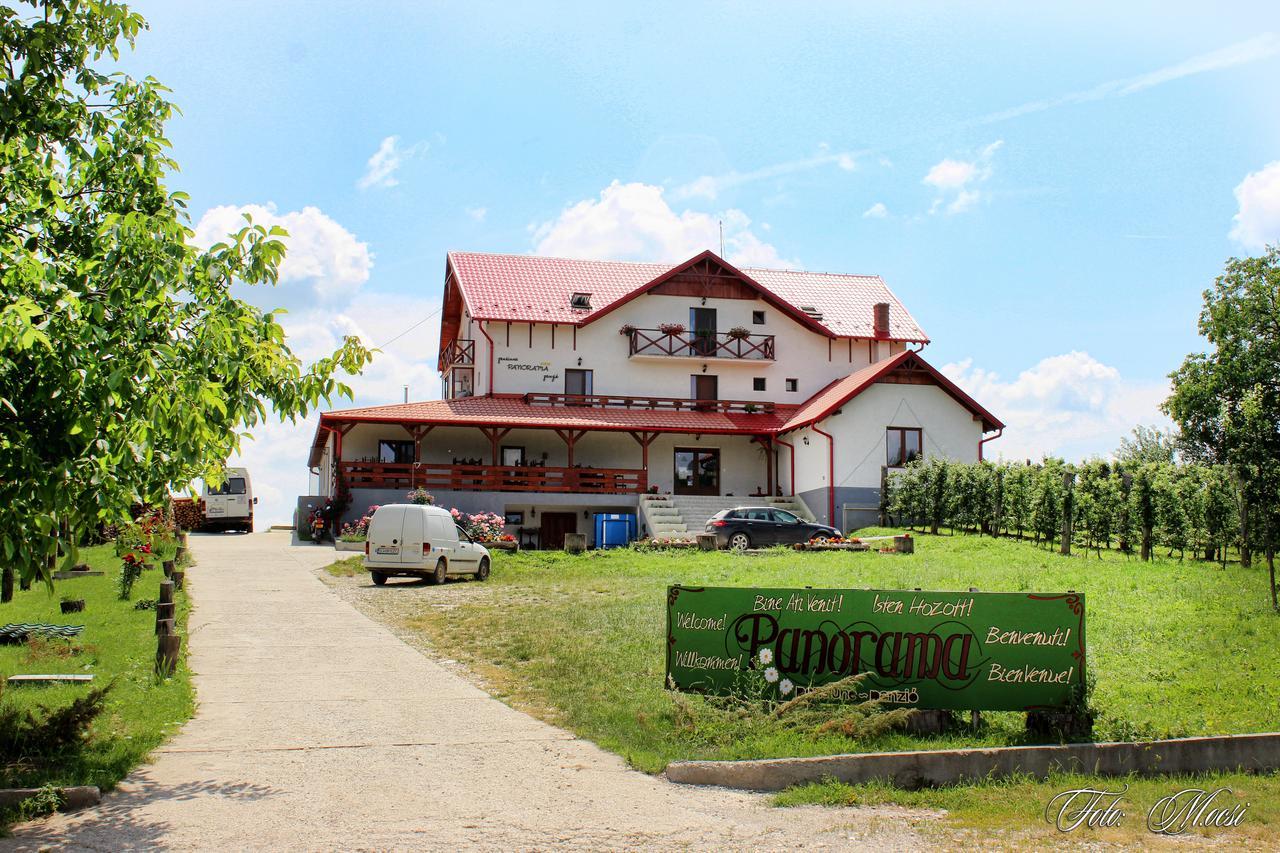 Panorama Cehu Silvaniei Ngoại thất bức ảnh